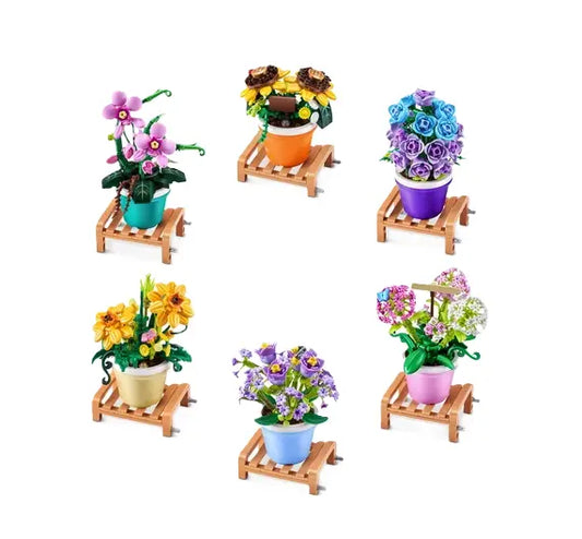 Max Garden Plants kula - mix