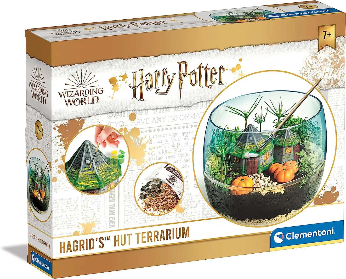 Harry potter terrarium