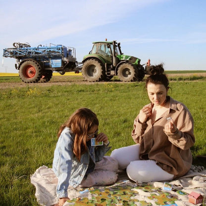 Gra planszowa szukaj i znajdź farma