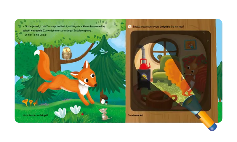 Książka z latarką - Raz, dwa, trzy... szukam! Las