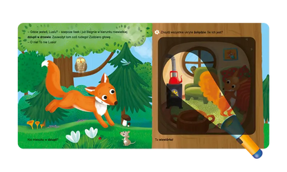 Książka z latarką - Raz, dwa, trzy... szukam! Las