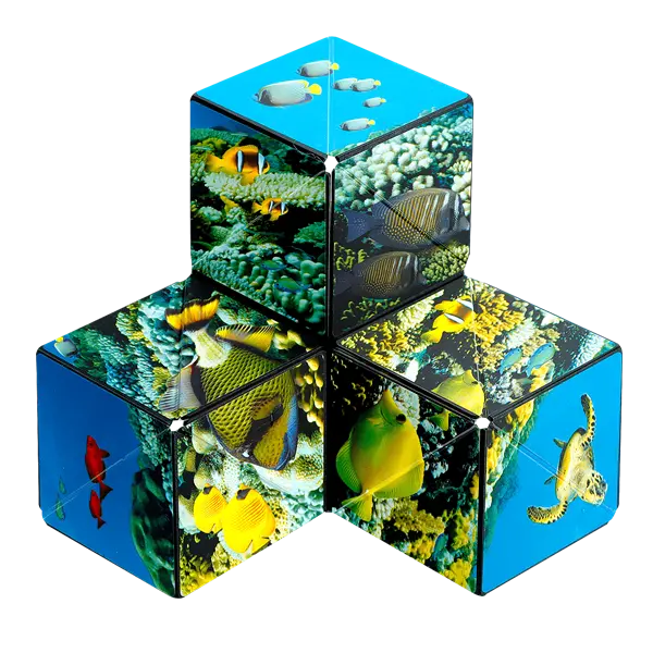 Shashibo Undersea