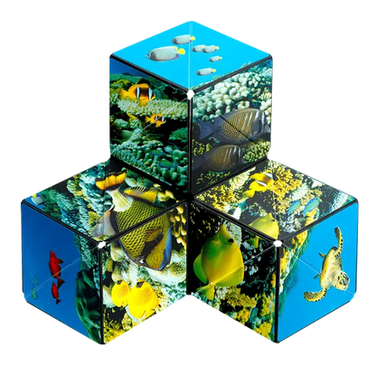 Shashibo Undersea