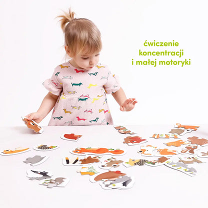 CzuCzu Puzzle Progresywne Zwierzątka w lesie 2+