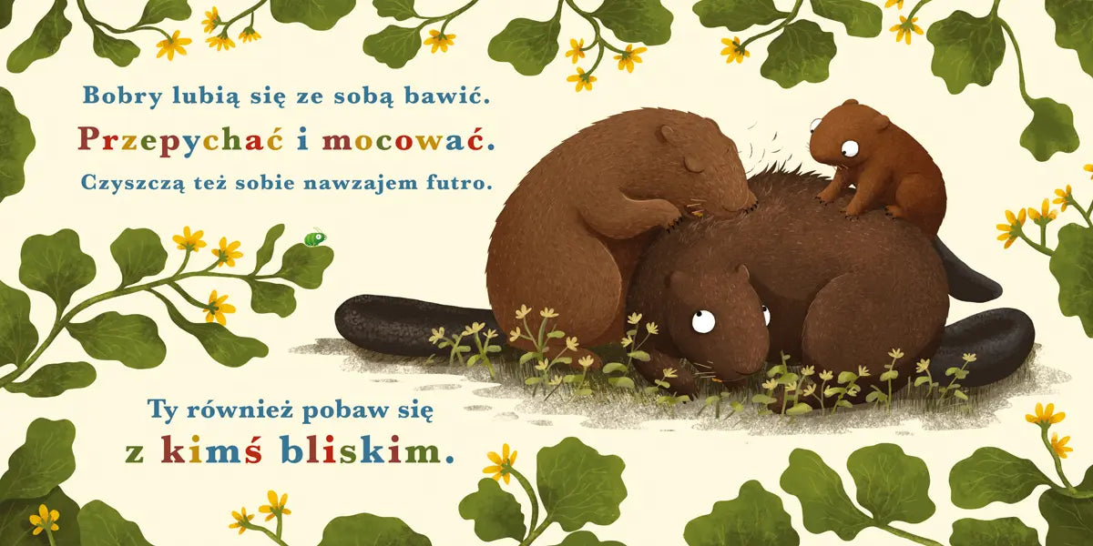 Rok w lesie bóbr