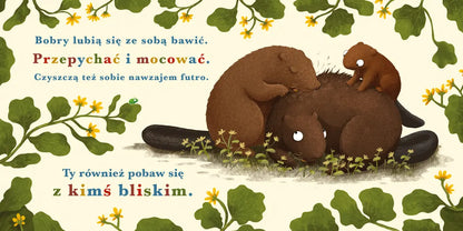 Rok w lesie bóbr