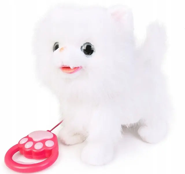 Kot chodzący na smyczy biały