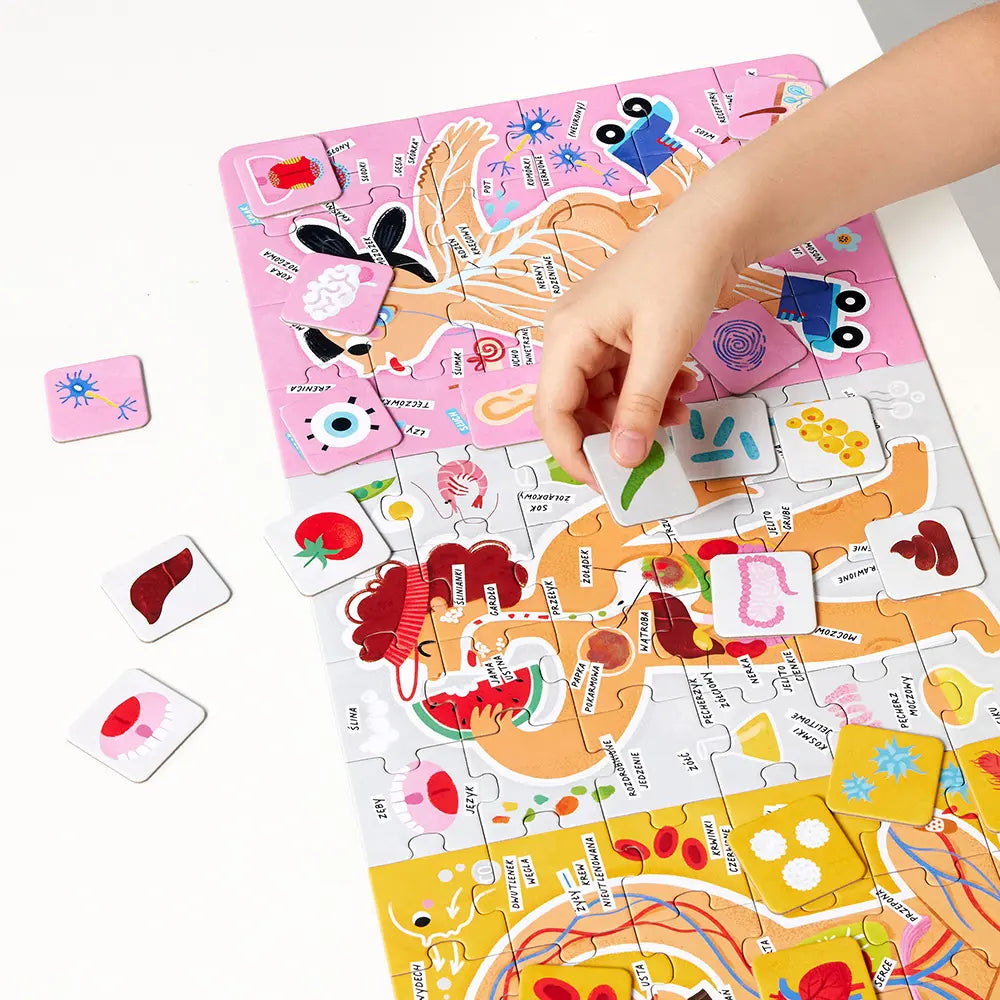 CzuCzu Puzzle Tak działa Moje ciało 5+