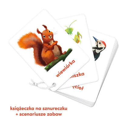 CzuCzu Karty obrazk.n/sznureczku Zwierzęta 62145