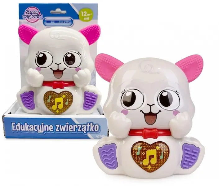 Muzyczna owieczka