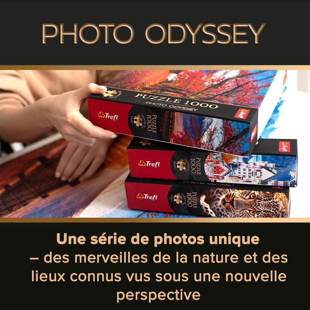 Puzzle 1000 elementów premium plus photo odyssey wieża cesta w san marino