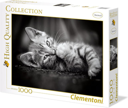 Puzzle 1000 hq kociak