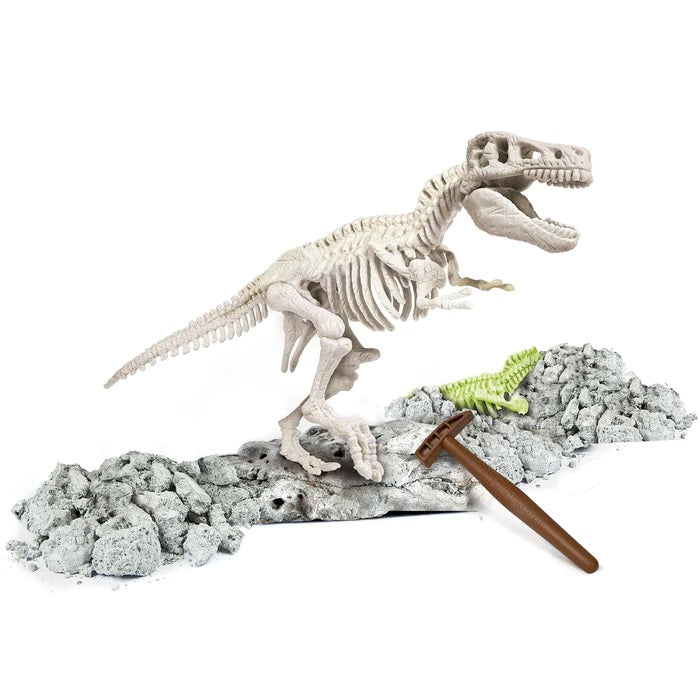 CLE Naukowa zabawa Skamien.T-Rex fluo 60889