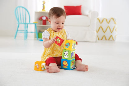Fisher Price klocki odkrywcy CDC52
