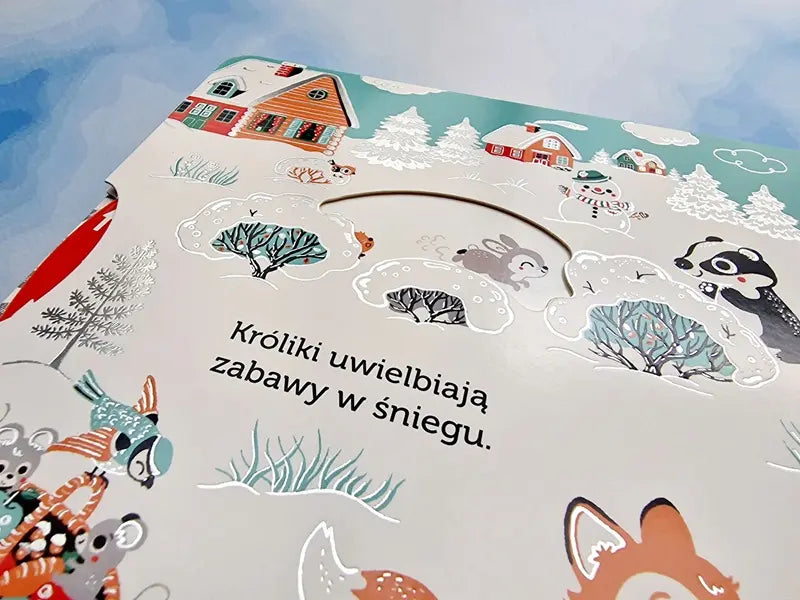 Książeczka - Śnieg. Akademia Mądrego Dziecka. Niesamowity spacer