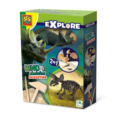 Skamielina dinozaur Triceratops 2w1