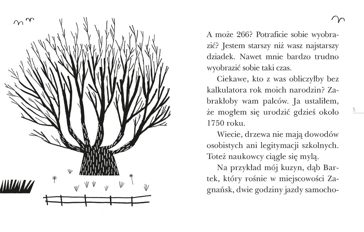 Opowieść starego drzewa czytam sobie eko poziom 3