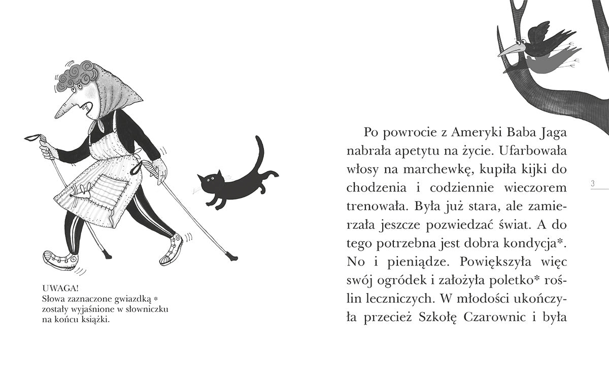 Baba jaga i duch puszczy czytam sobie eko czytam sobie poziom 3