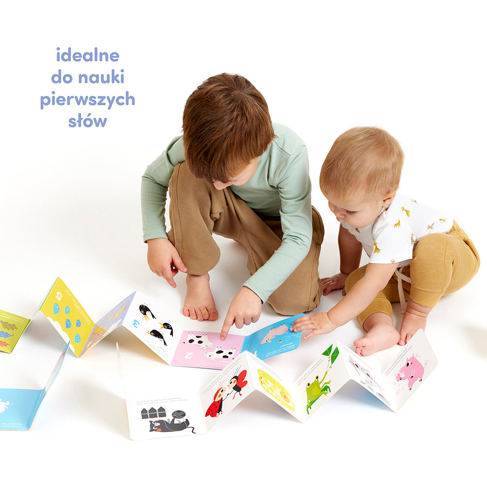 CzuCzu Biblioteczka odkrywcy 62121