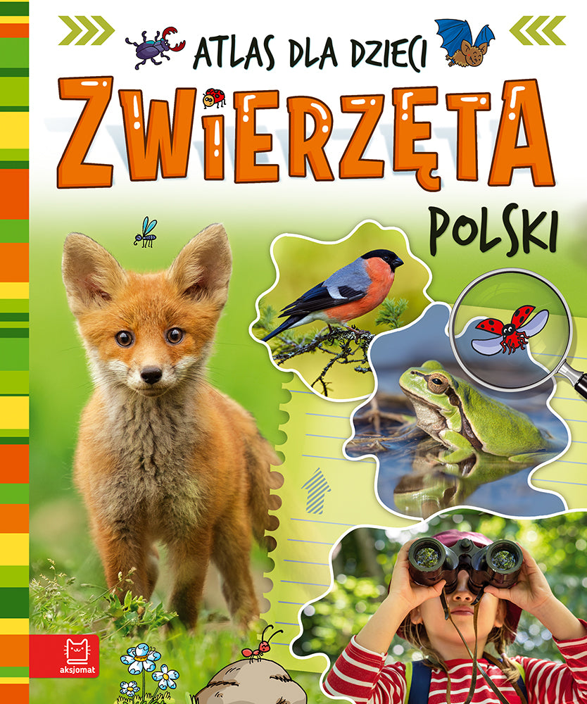 Zwierzęta Polski Atlas dla dzieci 40645