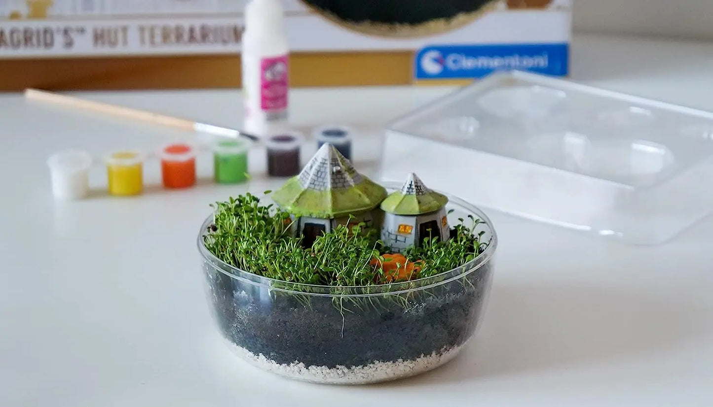 Harry potter terrarium