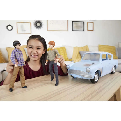 Wizarding world harry potter auto + harry + ron 2 pak