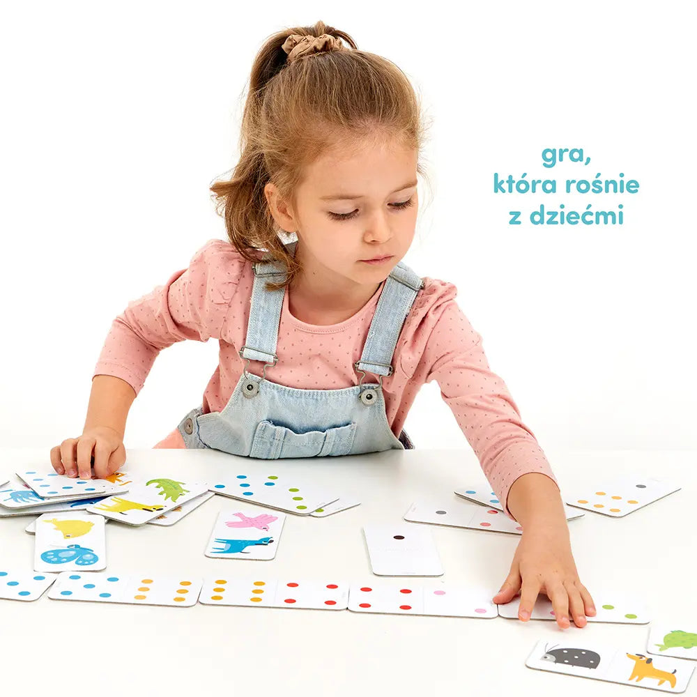 CzuCzu Domino Kolory 91606
