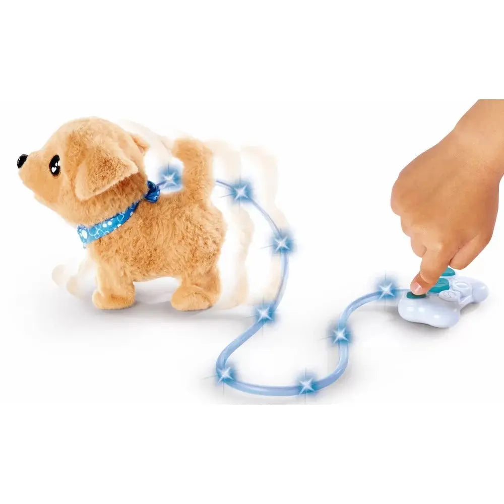 Chi chi love loomy golden retriever