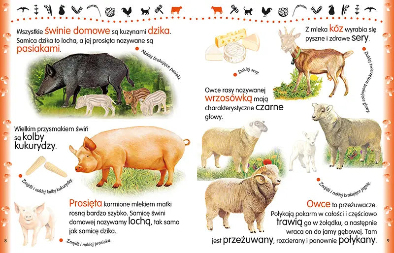 Gospodarstwo wiejskie 2022 58.11.1 12634