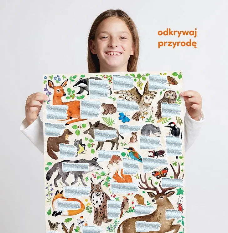 Puzzle odkrywcy: Dzika przyroda