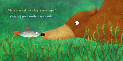 Rok w lesie niedźwiedź