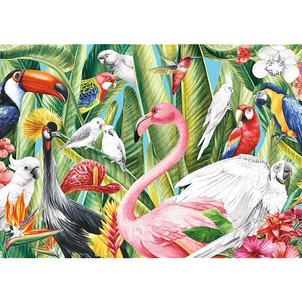 Puzzle 500 el. Creative - Rajskie Ptaki