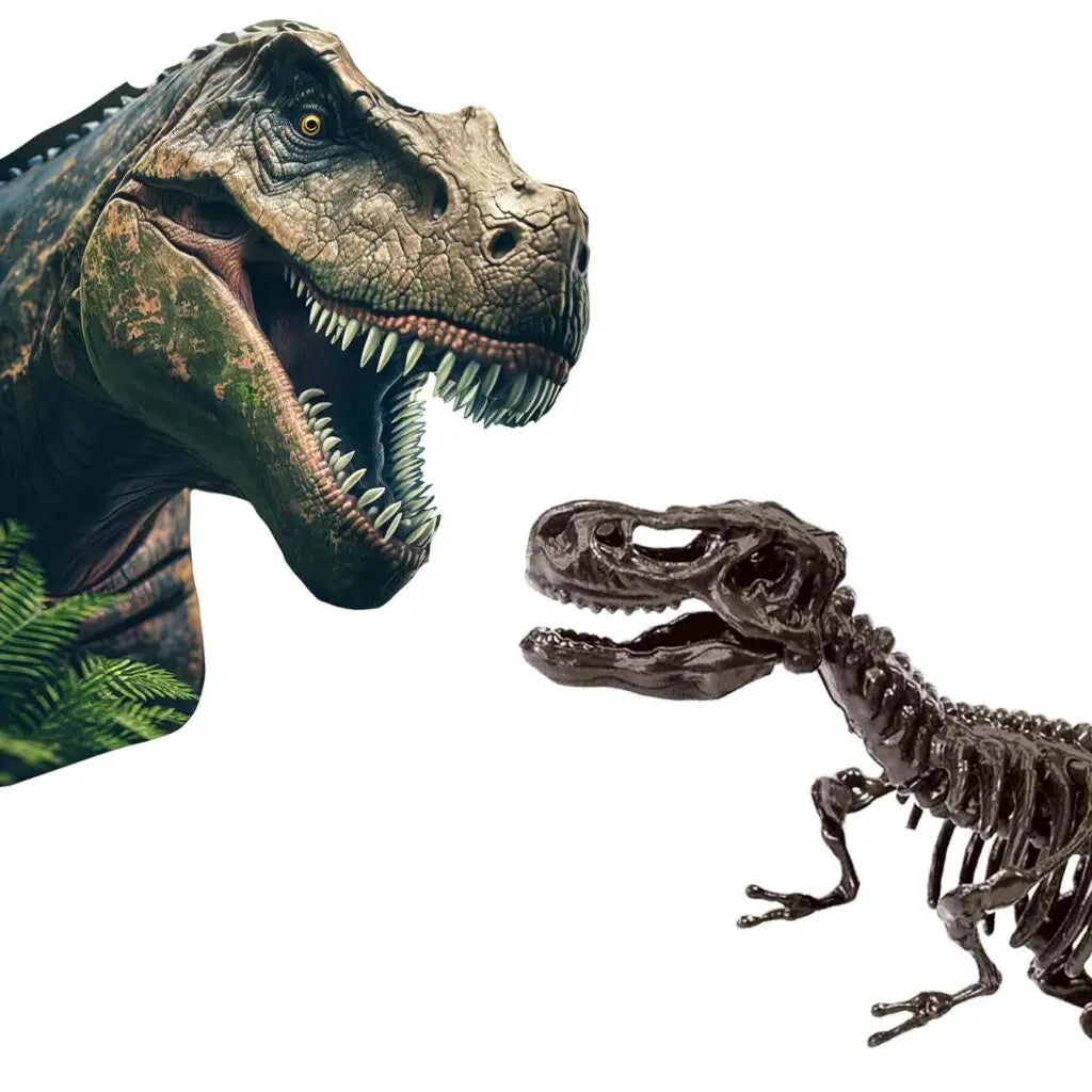 Skamielina dinozaura T-rex 2w1