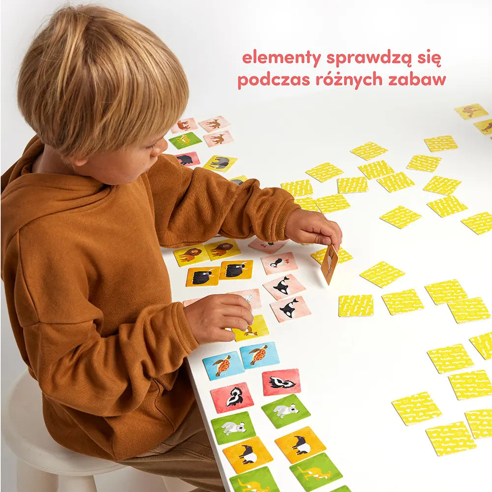 Memory zwierzęta świata 3+