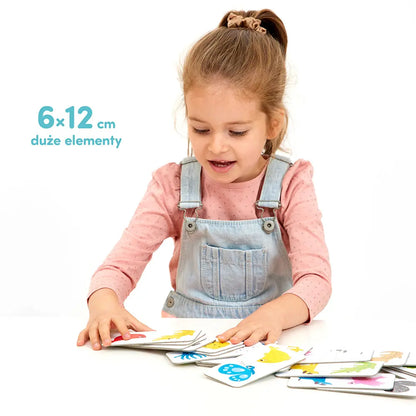 CzuCzu Domino Kolory 91606