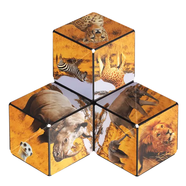 Shashibo Savanna