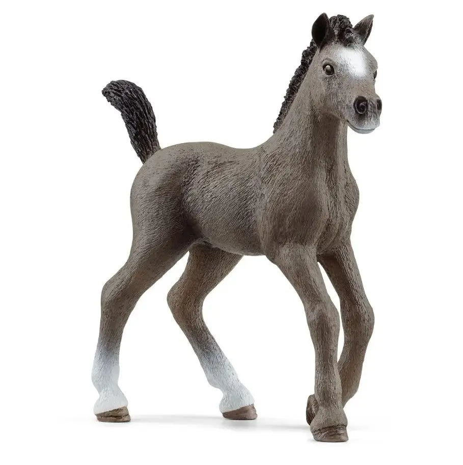 Schleich źrebak rasy cheval de selle francais
