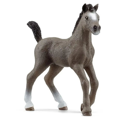 Schleich źrebak rasy cheval de selle francais