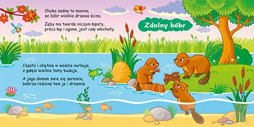 Książeczka - My rymy lubimy. Jezioro