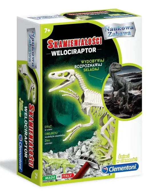 Naukowa zabawa skamieniałości welociraptor