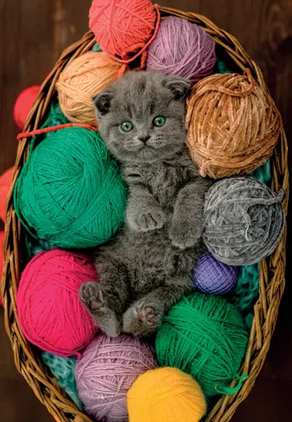 Puzzle 500 Compact Fluffy Kitten