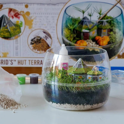 Harry potter terrarium