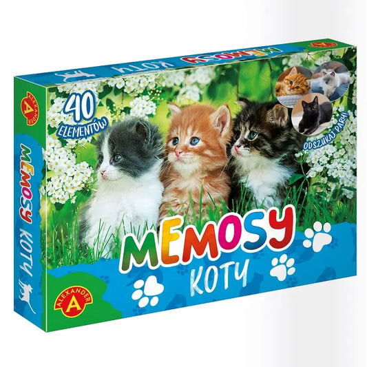 Pamięć koty
