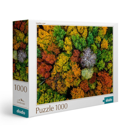 Puzzle 1000 elementów Wioska Dzembronia, Ukraina DOB1163