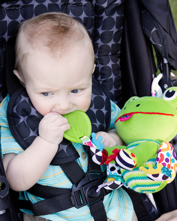 Lamaze Żaba Monika zawieszka L27522
