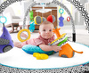 Fisher-Price Mata sensoryczna 9w1 DFP71 DFP71