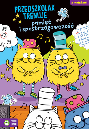 Przedszkolak trenuje pamięć i spostrzegawczość 09772