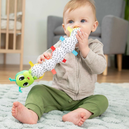 Lamaze wyginana gąsienica  L27483