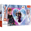 PUZZLE 160 Radosne chwile Frozen II 15408 15408