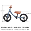Rowerek biegowy 2Way Blue Sky 22260
